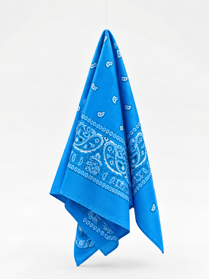 Blue Bandana